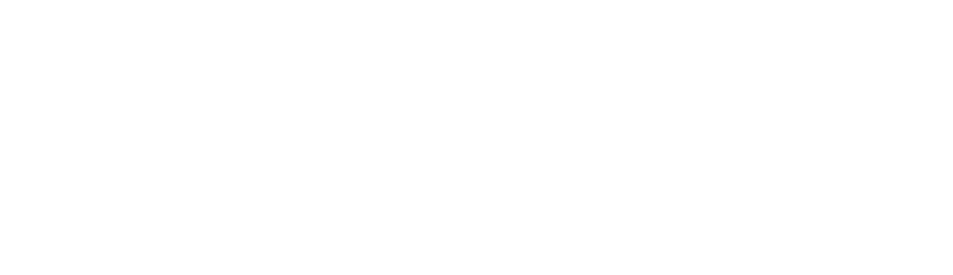Insightlytics White Logo
